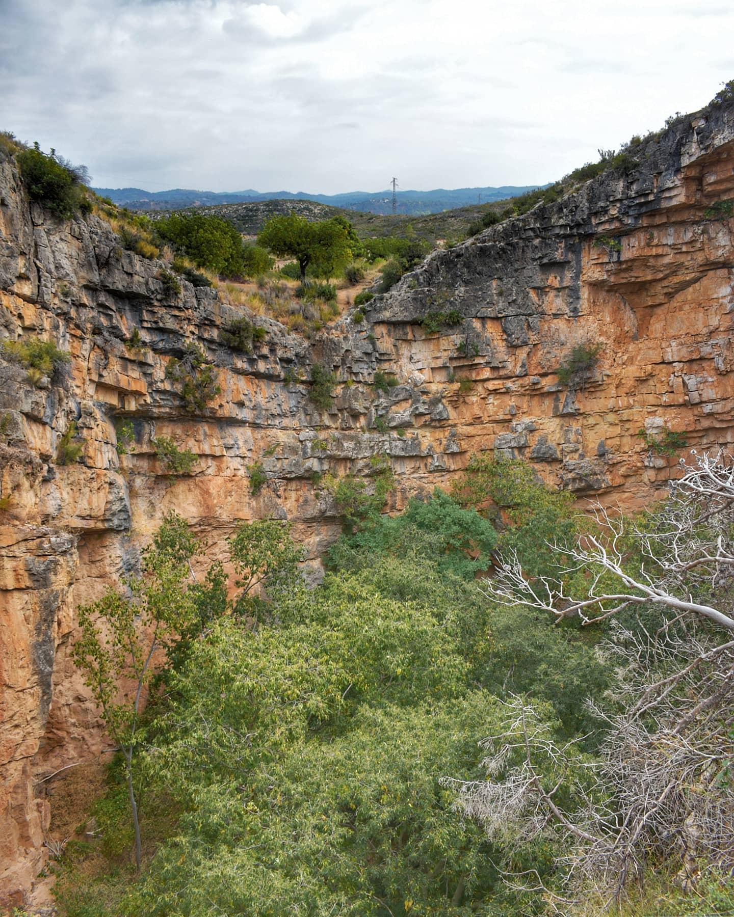 Paisaje mediterráneo